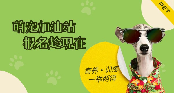 资	阳宠物学校招生简章