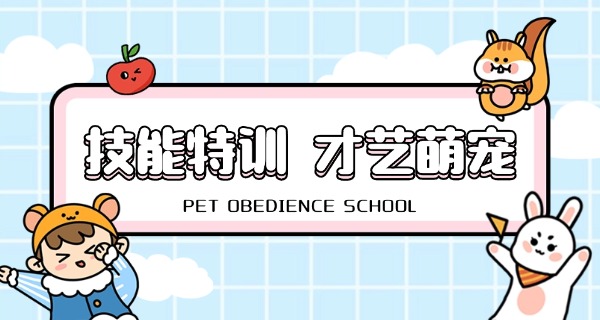 福	建有没有宠物狗学校