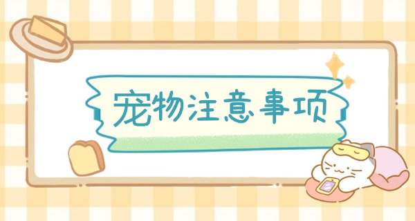 重庆哪个职高有宠物专业-重庆宠物职高