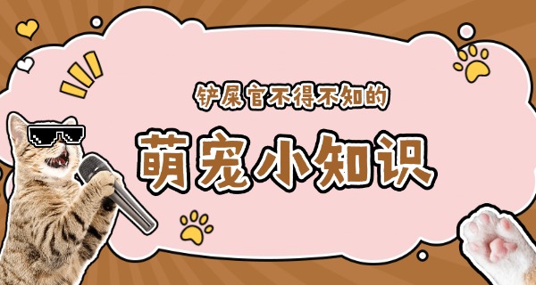 福	建宠物学校