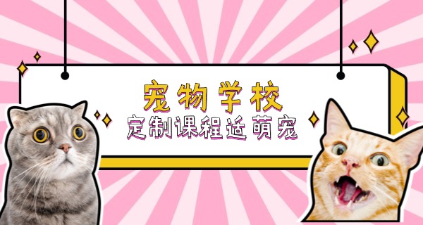 哈	密宠物狗学校哪家好