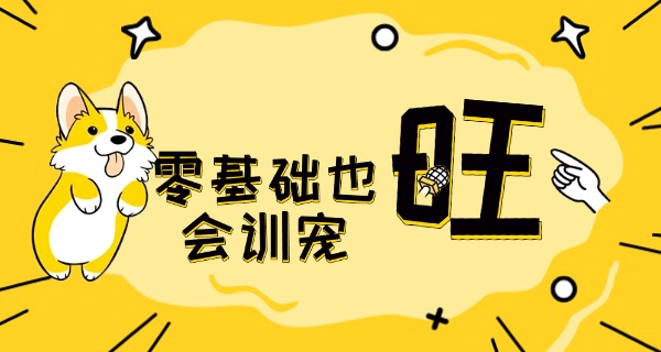 宠	物养护专业中专学校新疆