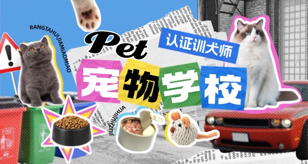 白	山宠物学校哪个好