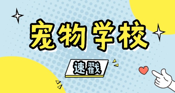 九	江宠物学校培训价格表