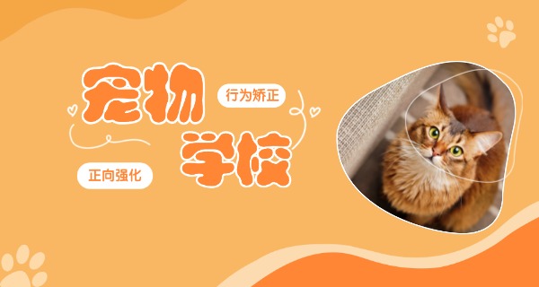 内	江宠物美容学校哪有