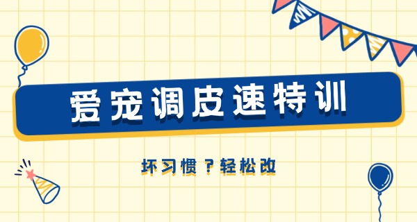 安	徽宠物学校哪家好一点
