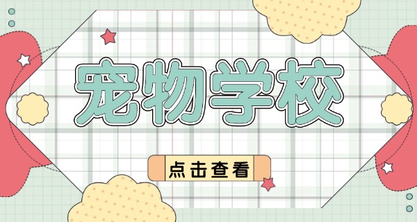 福	建宠物学校
