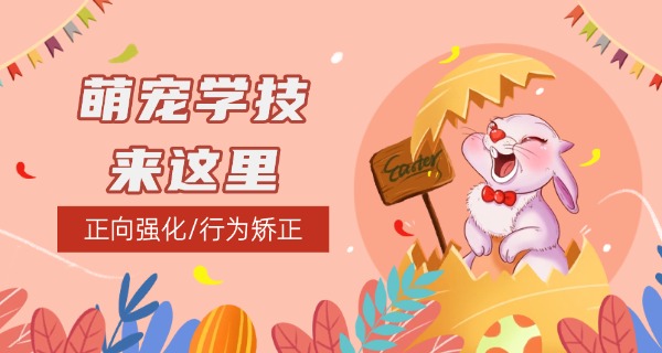 陕西宠物学校招生简章-陕西宠物学校招生简章