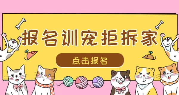 唐	山哪里有宠物训练中心