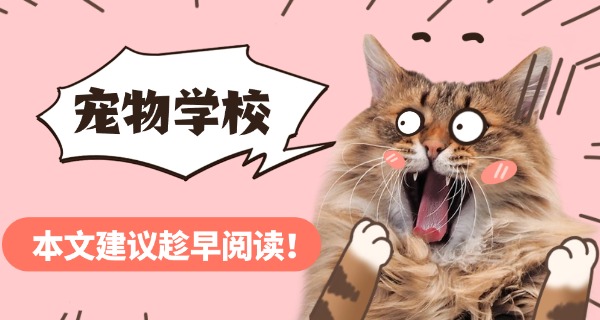 张	掖宠物狗学校收费