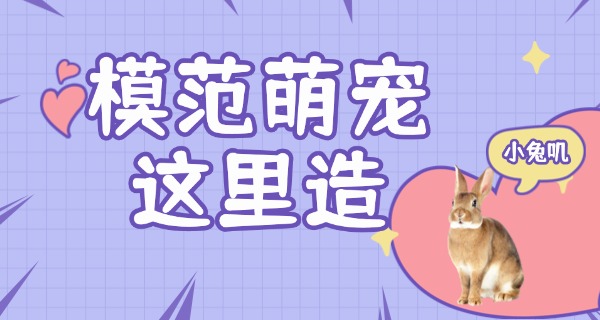 朝	阳宠物学校一般几点上课