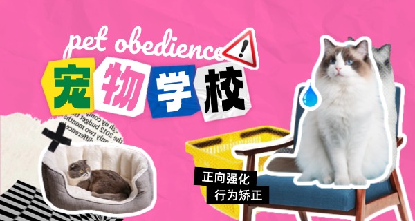 青	海宠物学校要住校吗