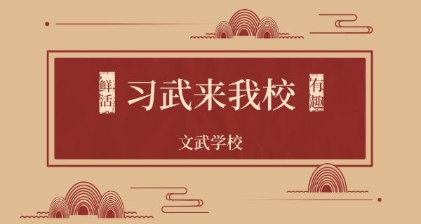 芜湖少林文武学校老照片-芜湖少林老照